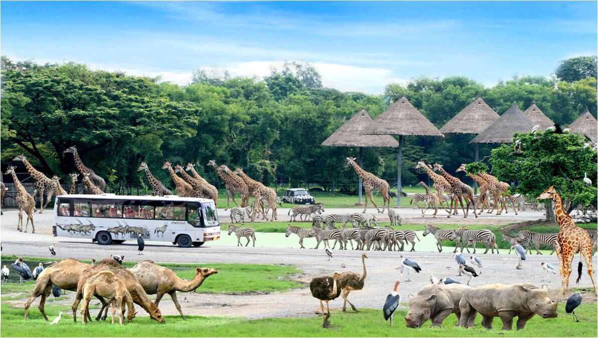 safari tại Phan thiết