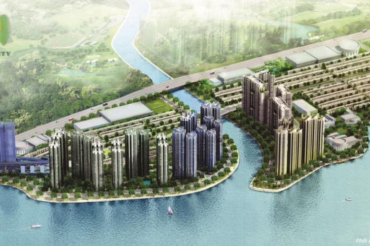 Palm City